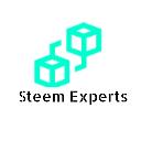 Steem Experts logo